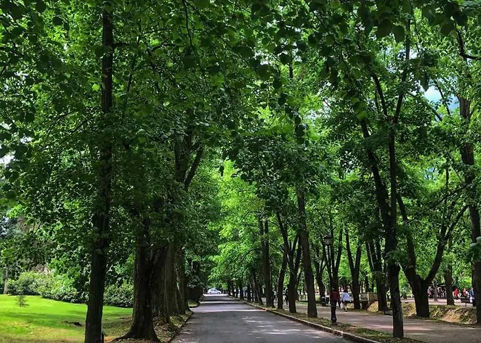 Pegasus Vrnjačka Banja